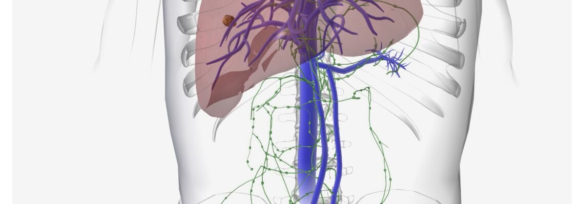 زراعة الكبد وأبرز المعلومات عنها