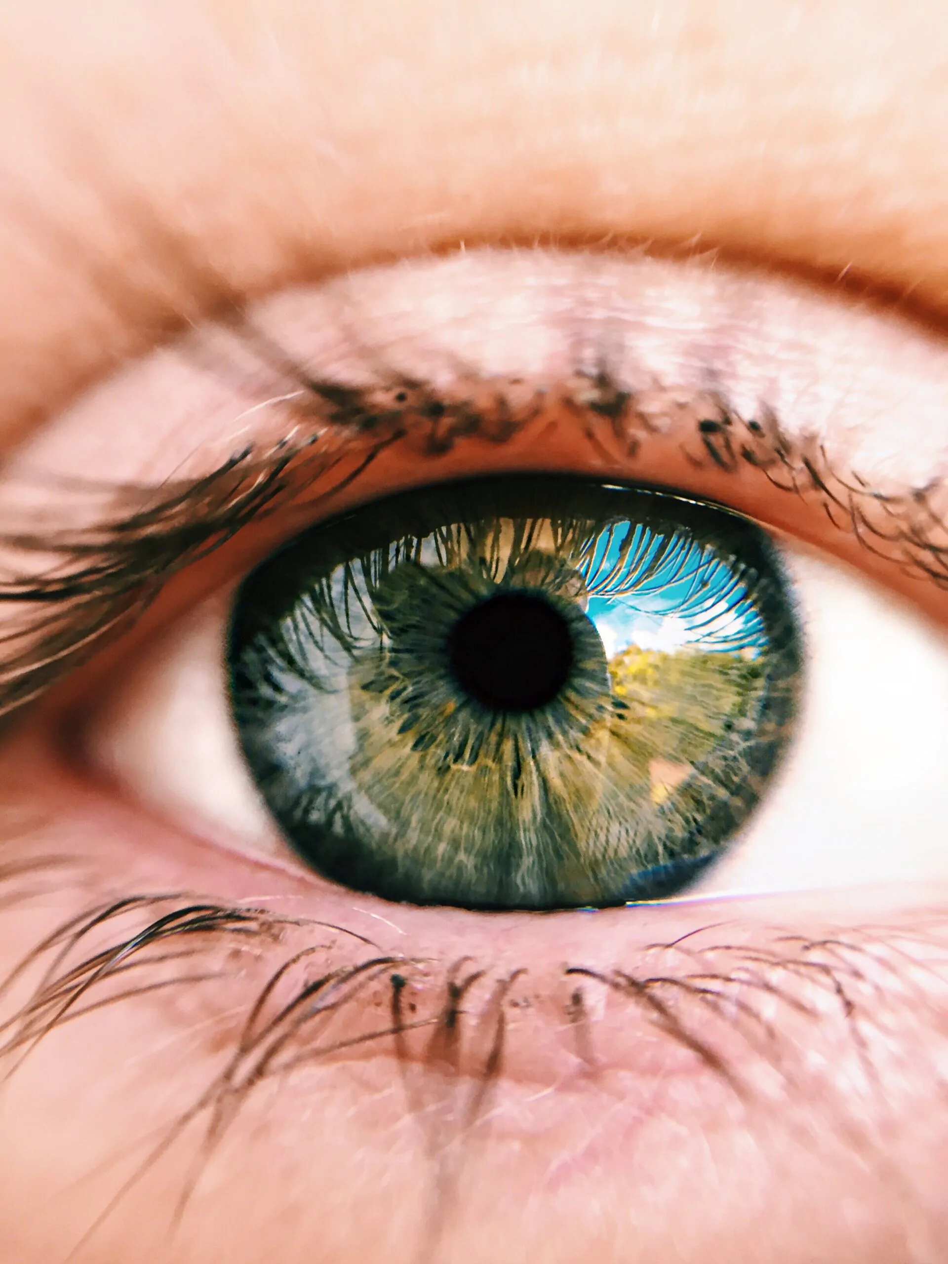 كل ما تريد معرفته عن عمى الوان color blindness