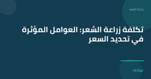 صورة توضيحية لمقال تكلفة زراعة الشعر: العوامل المؤثرة في تحديد السعر ضمن قسم زراعة الشعر