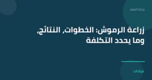 صورة توضيحية لمقال زراعة الرموش: الخطوات، النتائج، وما يحدد التكلفة ضمن قسم زراعة الشعر