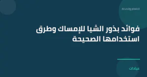 صورة توضيحية لمقال فوائد بذور الشيا للإمساك وطرق استخدامها الصحيحة ضمن قسم الطعام والصحة
