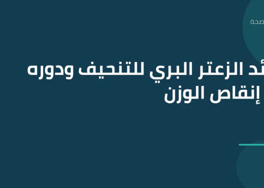 فوائد الزعتر البري للتنحيف ودوره في إنقاص الوزن