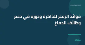 صورة توضيحية لمقال فوائد الزعتر للذاكرة ودوره في دعم وظائف الدماغ ضمن قسم الطعام والصحة