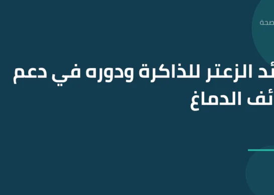 فوائد الزعتر للذاكرة ودوره في دعم وظائف الدماغ