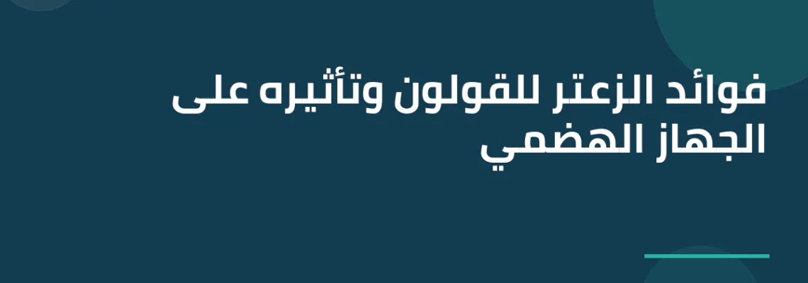 فوائد الزعتر للقولون وتأثيره على الجهاز الهضمي