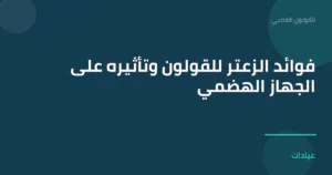صورة توضيحية لمقال فوائد الزعتر للقولون وتأثيره على الجهاز الهضمي ضمن قسم القولون العصبي