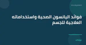 صورة توضيحية لمقال فوائد اليانسون الصحية واستخداماته العلاجية للجسم ضمن قسم الطعام والصحة